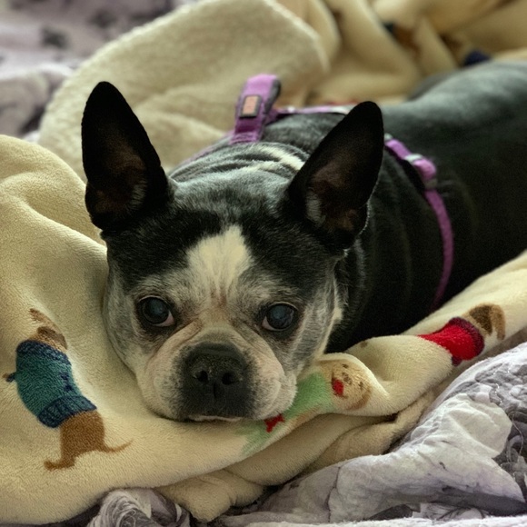 Meet your Posher, Erin - Picture 4 of 6